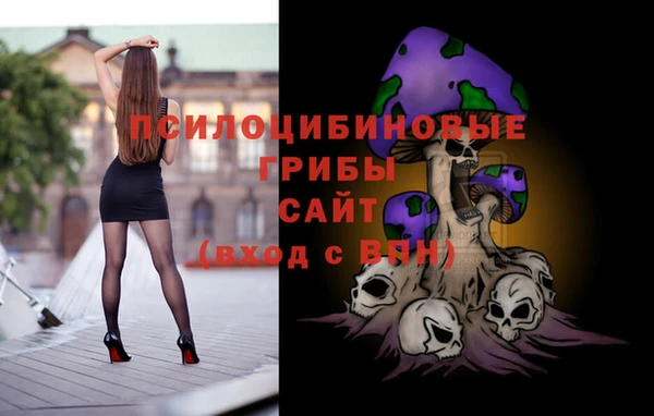спайс Алексеевка