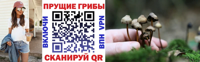 даркнет наркотические препараты  Кубинка  Галлюциногенные грибы MAGIC MUSHROOMS  как найти закладки 