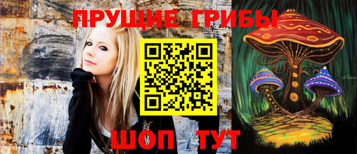 Галлюциногенные грибы Psilocybe Кубинка