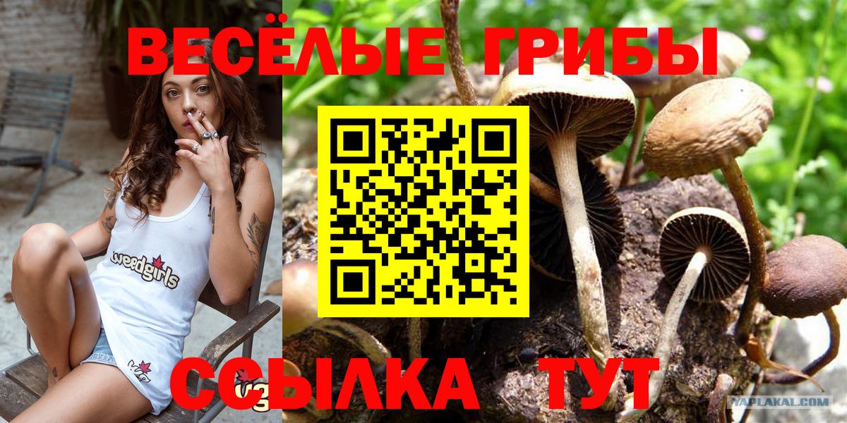 Галлюциногенные грибы MAGIC MUSHROOMS  Вход с VPN  купить   Кубинка 