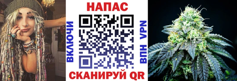 как найти наркотики  Кубинка  Марихуана конопля 